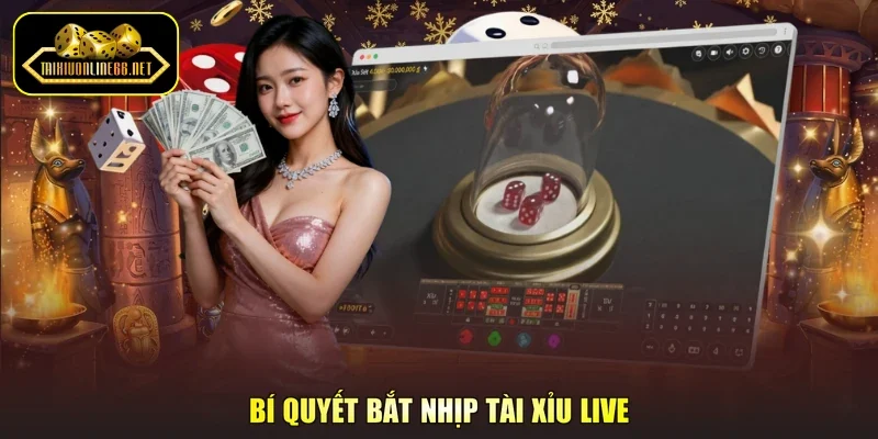 Bí quyết bắt nhịp tài xỉu live