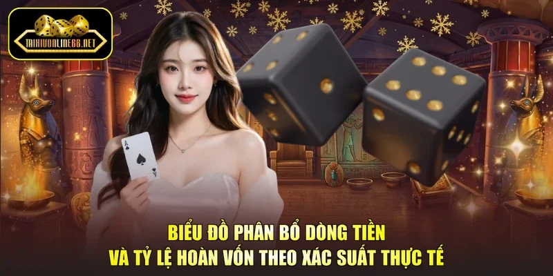 Biểu đồ phân bổ dòng tiền và tỷ lệ hoàn vốn theo xác suất thực tế