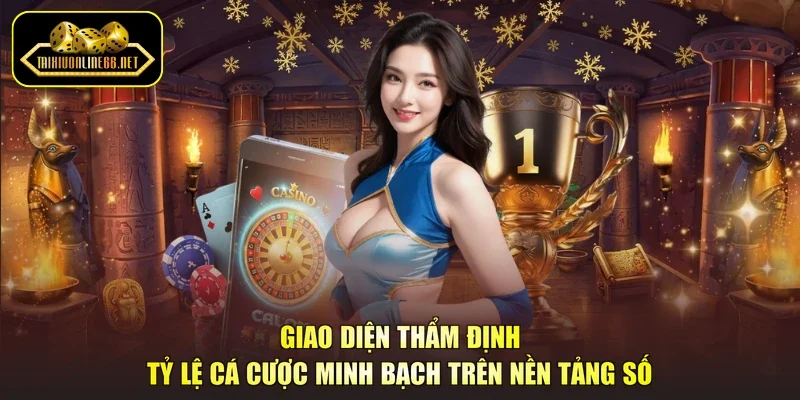 Giao diện thẩm định tỷ lệ cá cược minh bạch trên nền tảng số