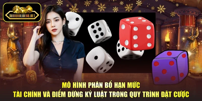 Mô hình phân bổ hạn mức tài chính và điểm dừng kỷ luật trong quy trình đặt cược